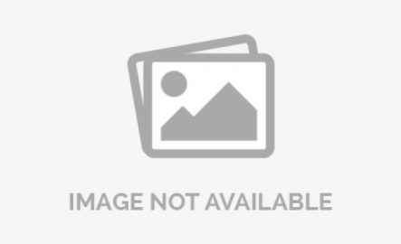 Revit BIM Services Driving Smart Construction Projects